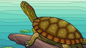 💃🌈 Танец красок 🐢 Черепаха 🧩 569 элемента  ⏳ за 25 мин