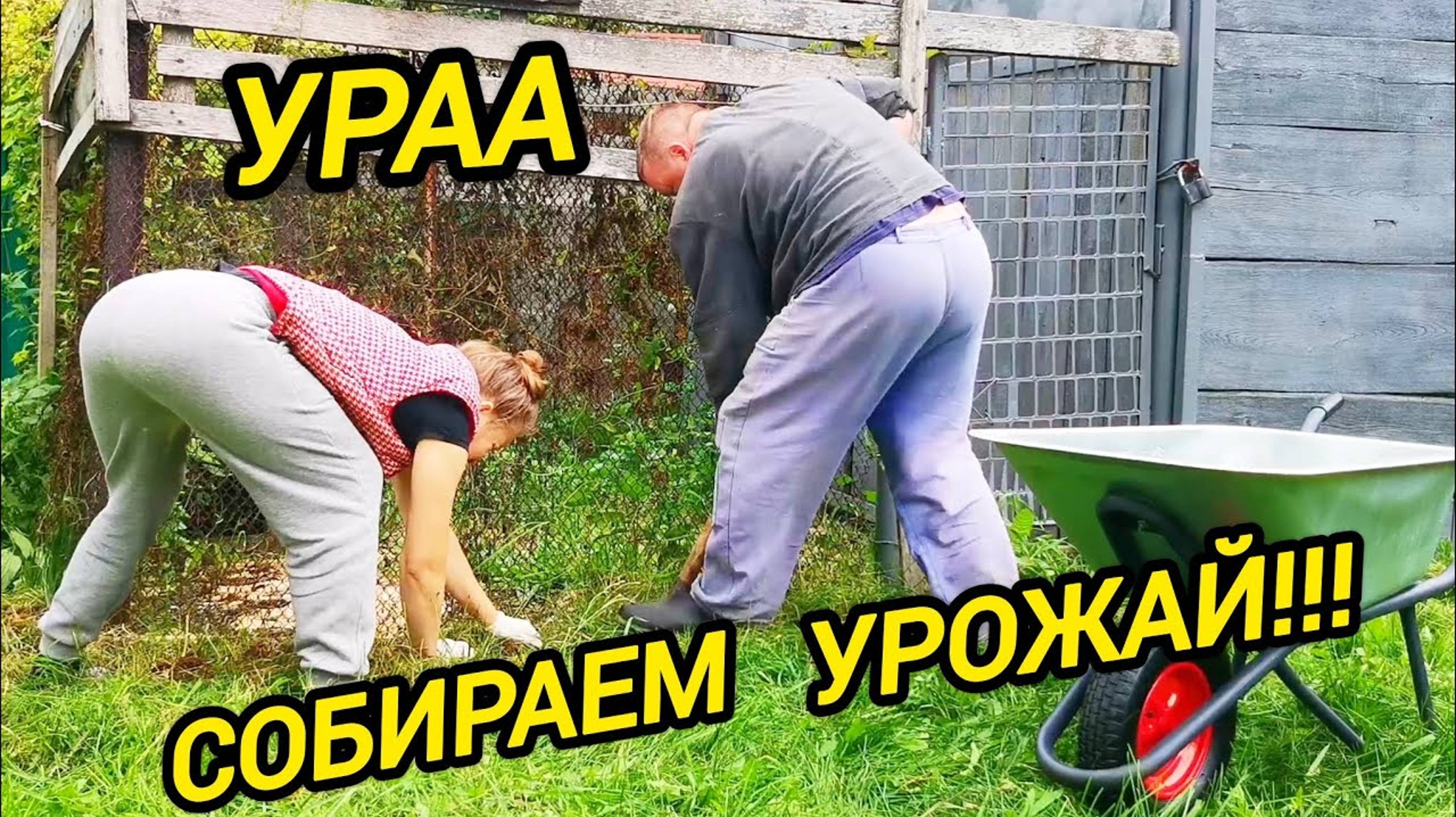 Трудовые будни в деревне | Домашние хлопоты на селе!!! | Жизнь в деревне | Дом в деревне