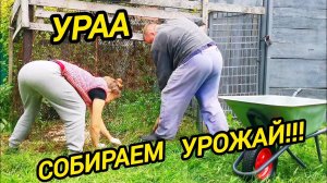 Трудовые будни в деревне | Домашние хлопоты на селе!!! | Жизнь в деревне | Дом в деревне
