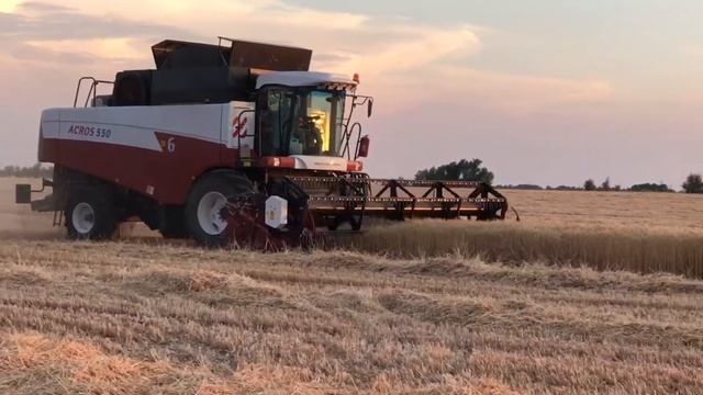 Пшеница нет! смотреть онлайн