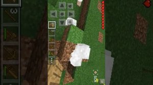 Рут права(2)