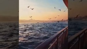 Аллахумма Салли ъало Мухаммад ъало оли Мухаммад