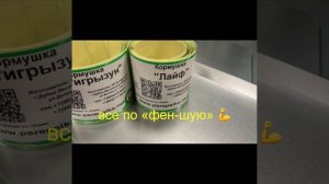 videoSharingFinalOutput (1)