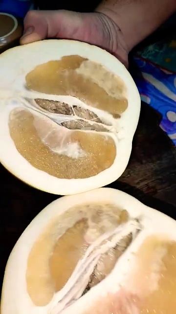 Помело смотреть онлайн