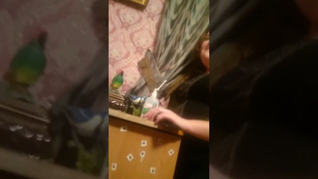 Я ща психану!!! смотреть онлайн