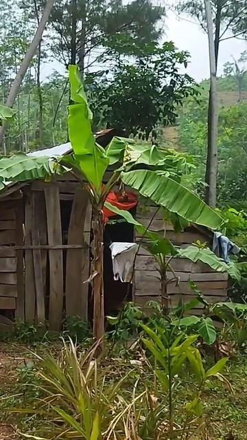 Nyoba micropon baru ternyata suaranya bagus #Shorts смотреть онлайн