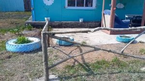 Делаю забор, из кленовых веток, тряпок и цемента !!!