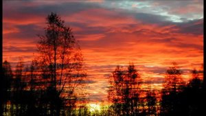 Иеромонах Роман. Глаголы вещие