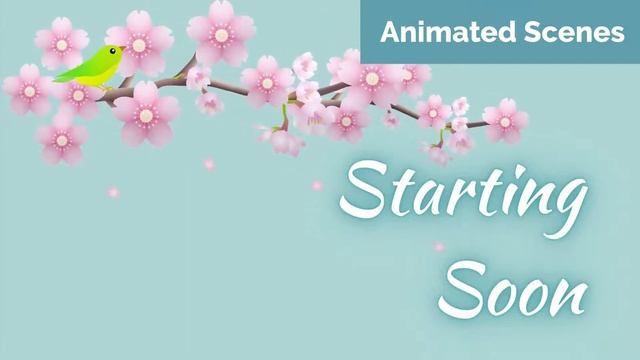 Sakura Animated Twitch Overlay Package Sneak Peek смотреть онлайн