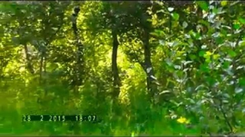 Tebriz Asiqlari Asiq Vedud. Muxeyi Asiq Havasi