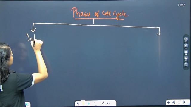 Cell cycle & cell division 01 | Phases of Cell Cycle | ARCH Learning | NEET | HM Ma'am смотреть онлайн