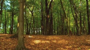 Shahyton bilan suhbat.Dilkash uz.Ибратли хикоя ва ривоятлар.Hikoyalar.Hayotiy voqealar. audiohikoya