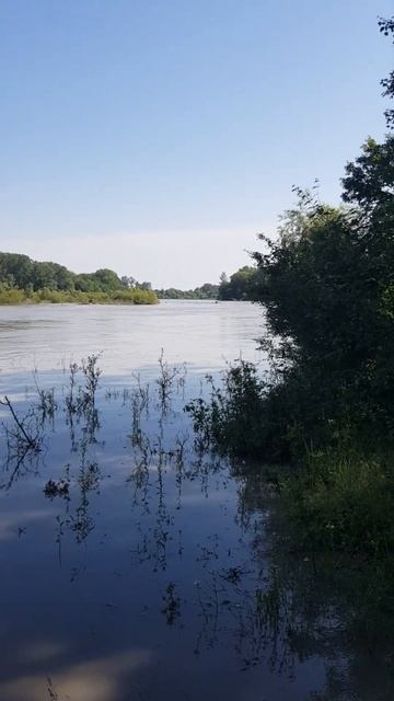 после Сильных дождей Терек БеноЮрт смотреть онлайн