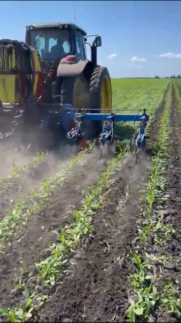 междурядная обработка кукурузы смотреть онлайн