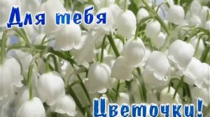 мечта женщин