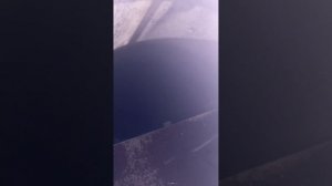 Маслоцех. Линия по переработке рапса и семечки (21 тонна/сутки)