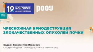 Чрескожная криодеструкция злокачественных опухолей почки. Бадьян Константин Игоревич