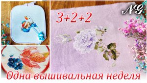 ОДНА ВЫШИВАЛЬНАЯ НЕДЕЛЯ. ФЕВРАЛЬ 2025. Вышивка крестиком
