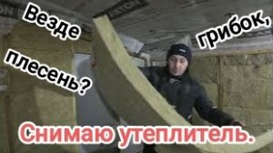 Всюду грибок и плесень? Снимаю утеплитель в мастерской.