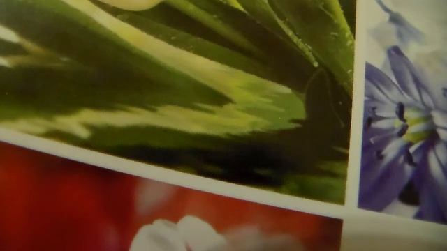 HDV 1844 смотреть онлайн