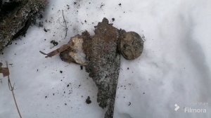 Зимний металлокоп 16.02.25.