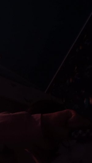 влог утро с Ильёй