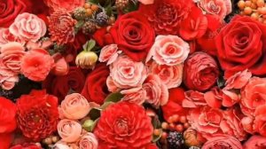 Айна Гетагазова-Фаьра Хьазилг