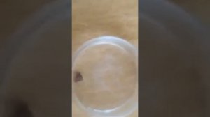 От клещей🕷️Эфирное масло Эвкалипта Greenway