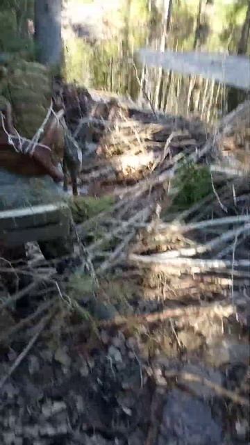 24 мая 2024 г. смотреть онлайн