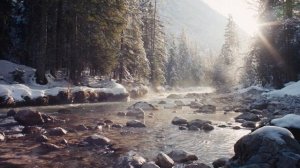 Начало весны в лесу. Ручей, пение птиц