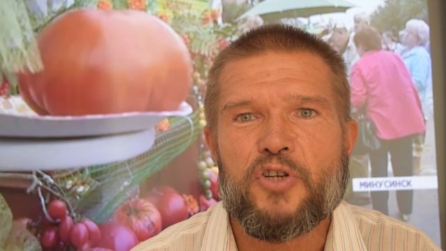 Минусинский помидор