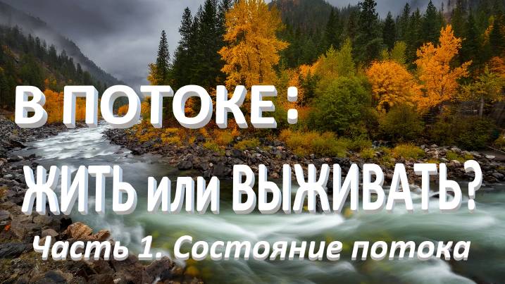 В потоке: жить или выживать. Часть 1. Состояние потока_02.11.2024