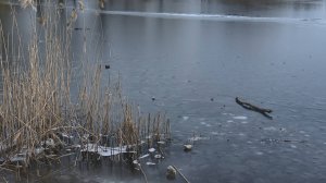 Внимание, выход на лёд опасен!