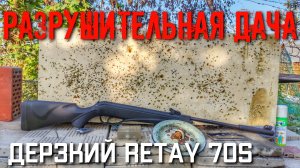 РАЗРУШИТЕЛЬНАЯ ДАЧА на что способна пневматическая винтовка Retay 70S