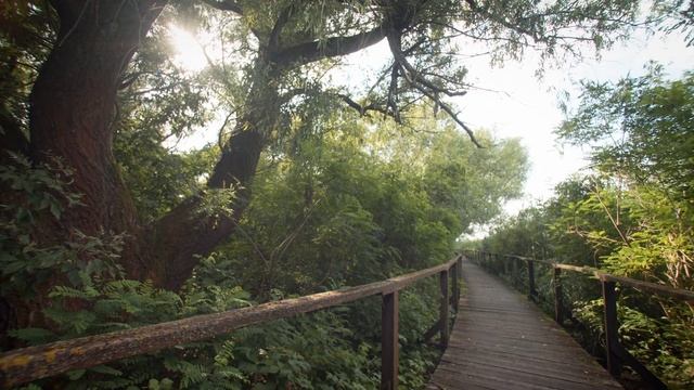 Wonders of Hungary - Lake Tisza смотреть онлайн