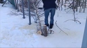 Бензопила FORSTER FS3500 тестируем в работе