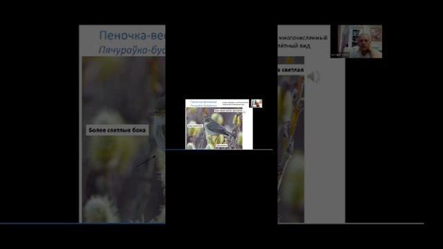 пеночка трещотка смотреть онлайн