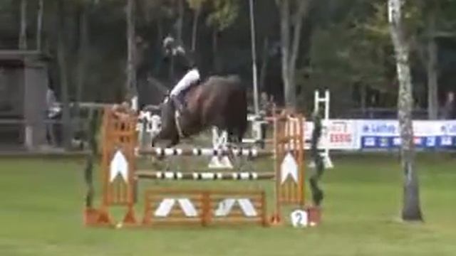 L-2-Phasen Springen KM Wedel 2011 Anna-Lena Ewert und L'Esperanza.wmv смотреть онлайн