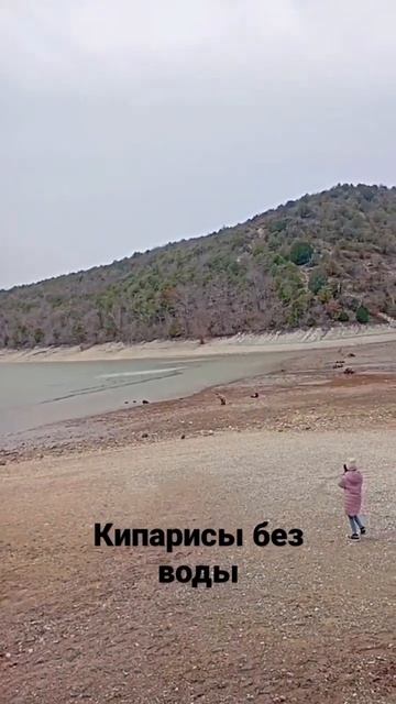 #кипарисыбезводы#2023 #кипарисовоеозеро#голубоеозеро#russia #красивоеместо 🌍