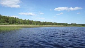 озеро РАЗЛИВ Окуловский р-н