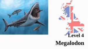 Megalodon