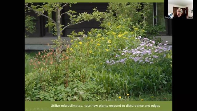 Living Landscapes смотреть онлайн