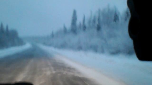 ПроЖизнь