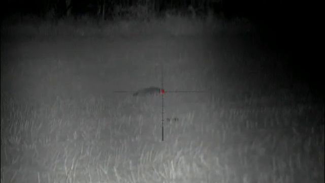 PULSAR N355 смотреть онлайн