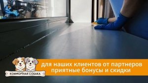 Зооняня встречает владельцев с отпуска