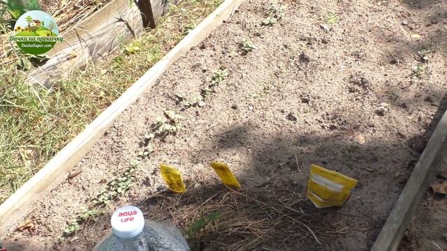 Маленький дачный урожай смотреть онлайн