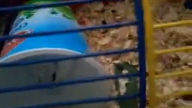 Нашли папу хомяка смотреть онлайн