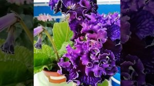 Dem-Гравитация