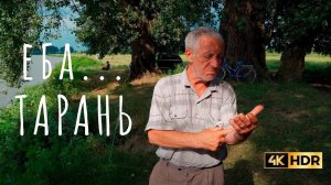 ЕБА ТАРАНЬ. РЫБАЛКА НА РЕКЕ КУБАНЬ. КАКИЕ ВИДЫ РЫБ И СКОЛЬКО ЛОВИЛИ РАНЬШЕ НА РЕКЕ КУБАНЬ.