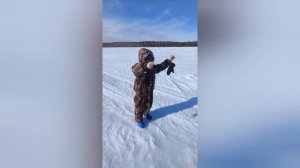 Крупный окунь за килограмм, на жерлицы!